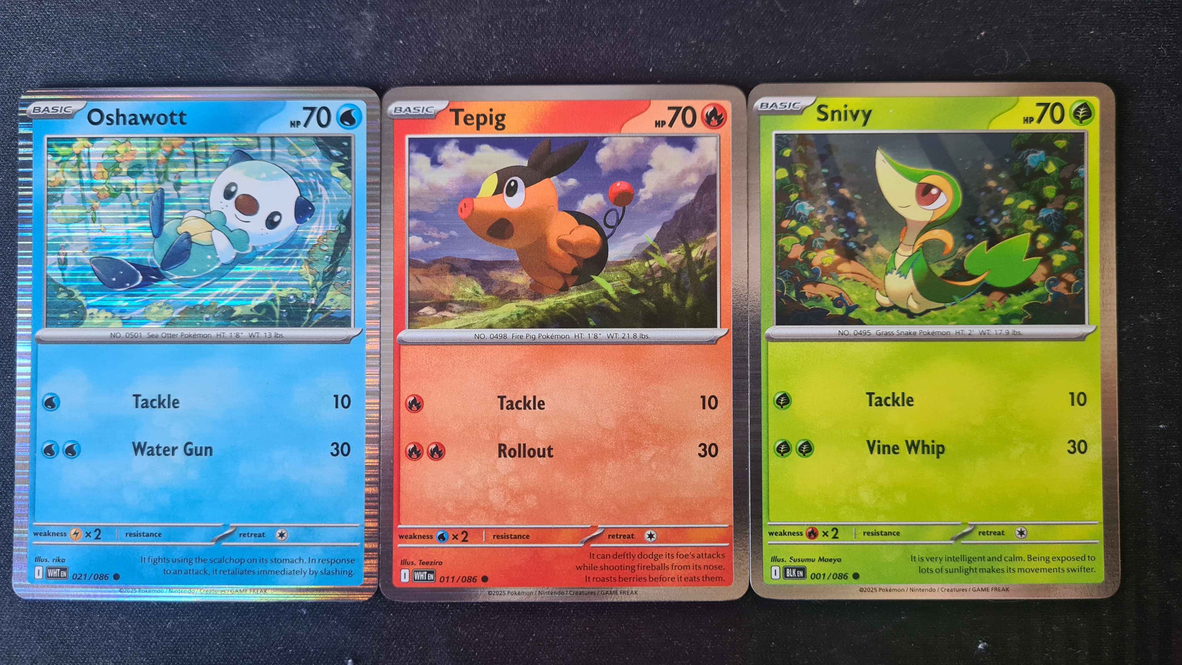 Tepig / Snivy / Oshawott  - PACK de 3 - White Flare RSV10PT5 - Common
