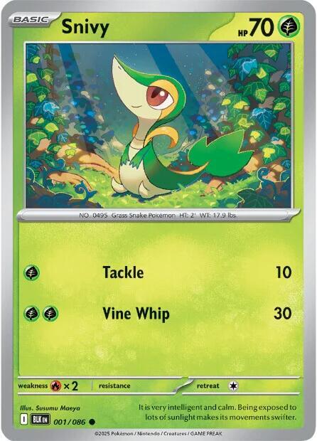 Tepig / Snivy / Oshawott  - PACK de 3 - White Flare RSV10PT5 - Common