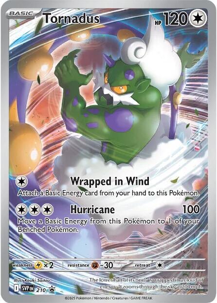 Tornadus - 210 - PROMO White Flare RSV10PT5 - Rare